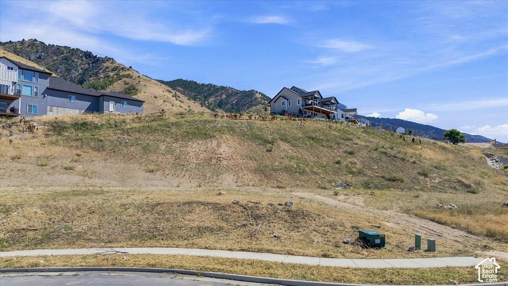 Picture 6