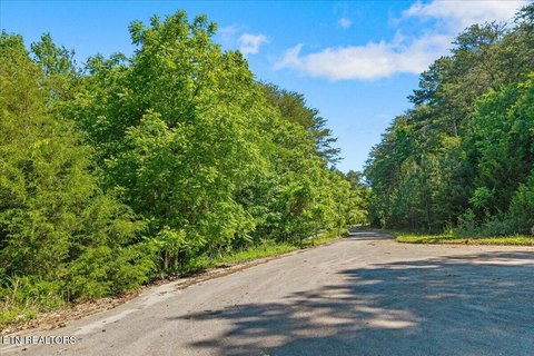Residential Land in Sweetwater, TN