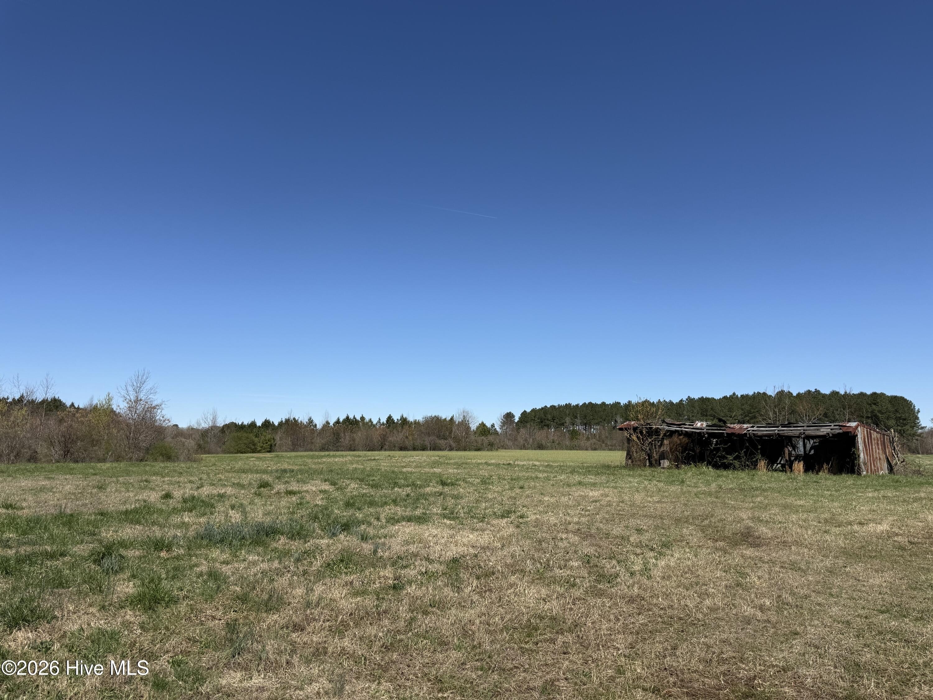 153 Acres in Gatesville, NC