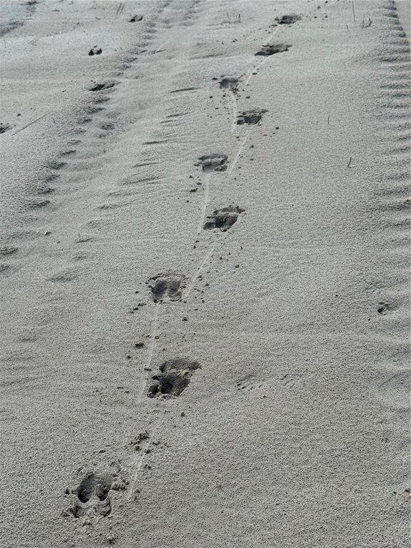Picture 12