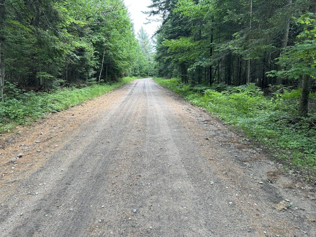 Picture 63