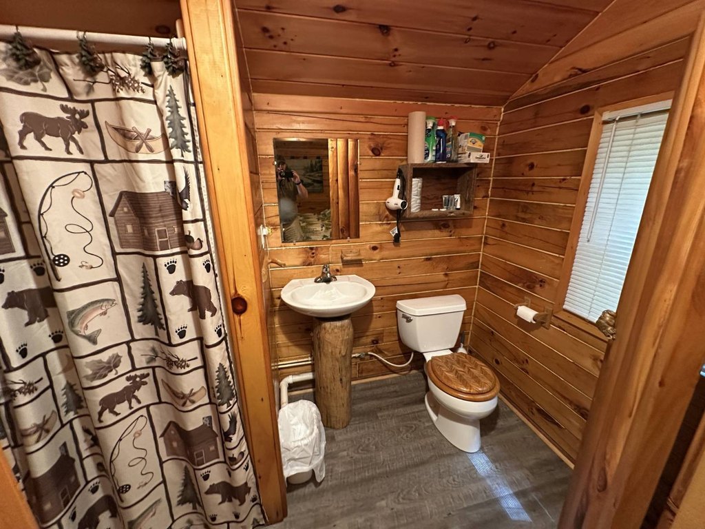 Picture 37