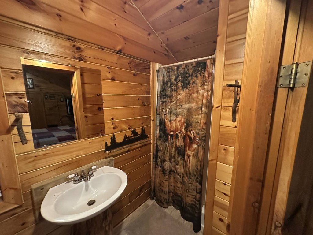 Picture 41