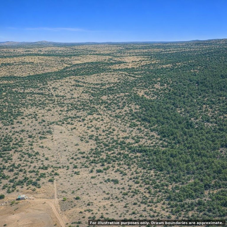 Picture 22