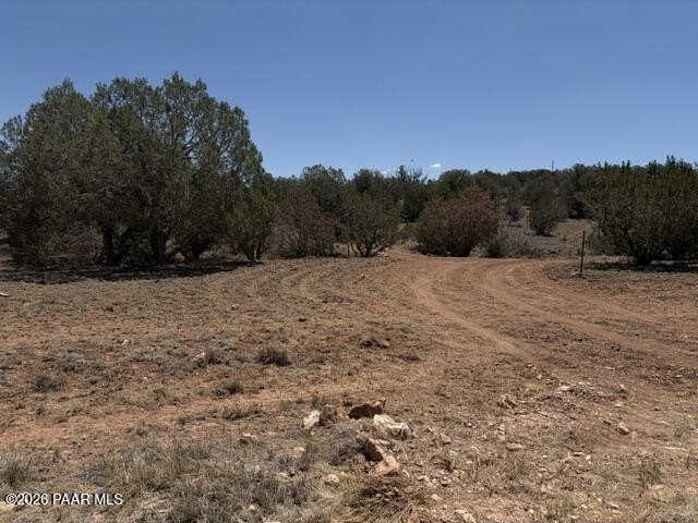 Picture 6