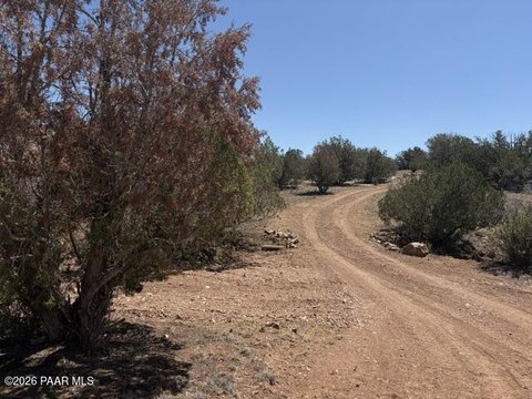 LAND - Seligman, AZ