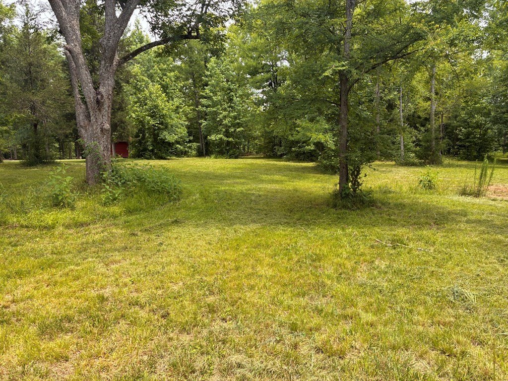 Picture 13