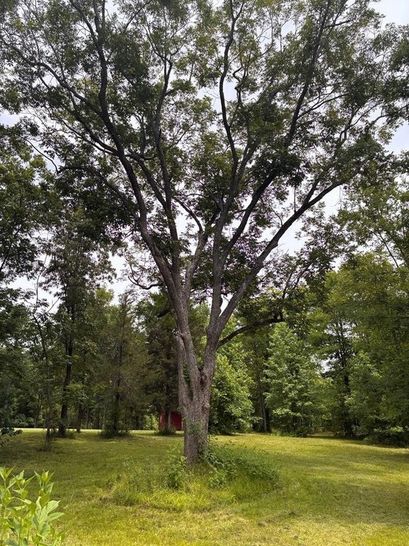 Picture 14