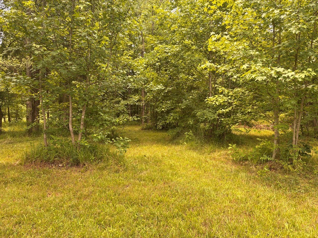 Picture 7
