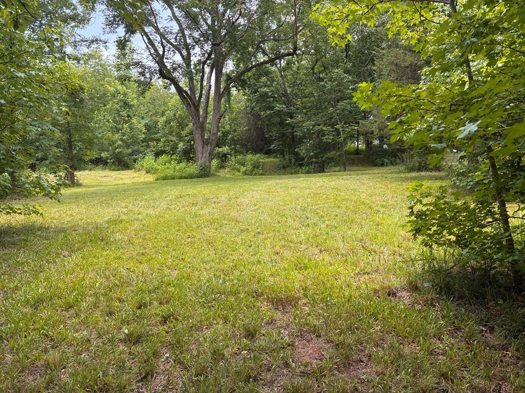 Picture 10