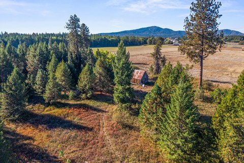 Secluded 40-Acre Land Parcel