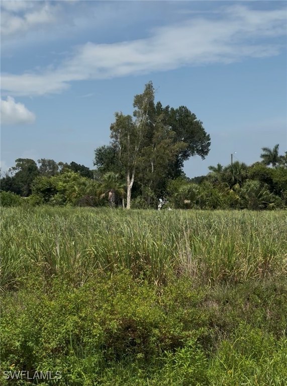 Picture 7