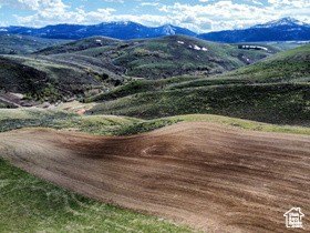 209 Acres in Sleights Canyon