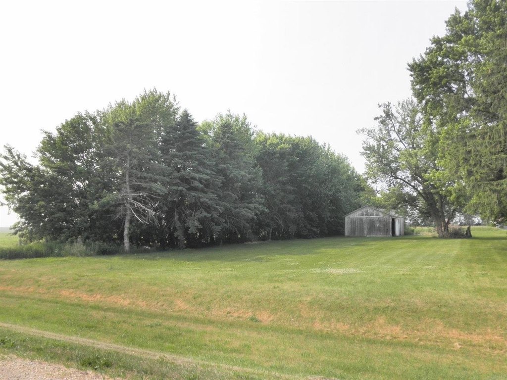 Picture 4