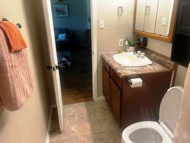 Picture 12