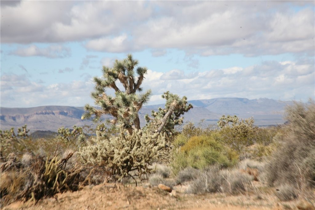Picture 63
