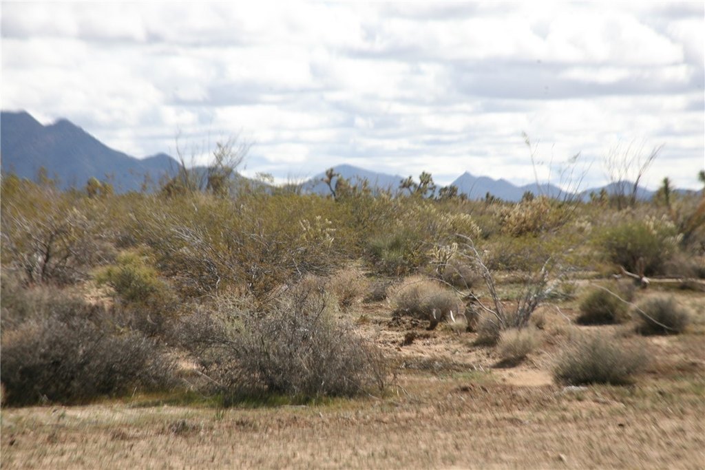 Picture 52
