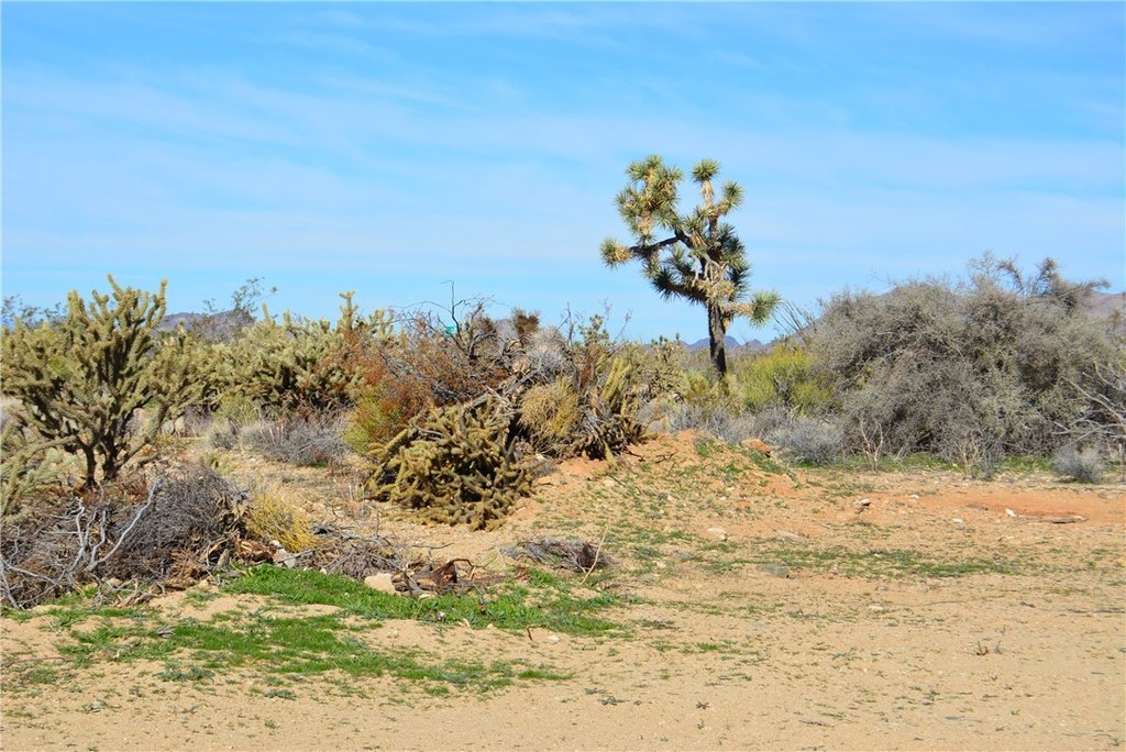 Picture 31