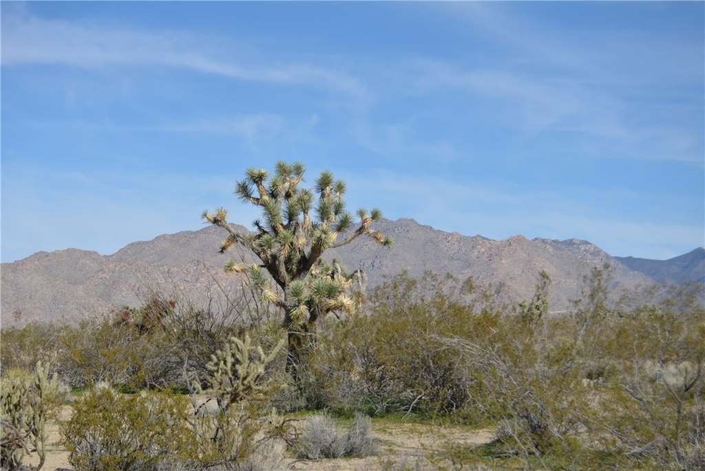Picture 43