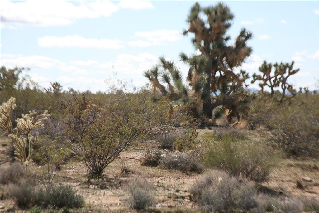 Picture 56