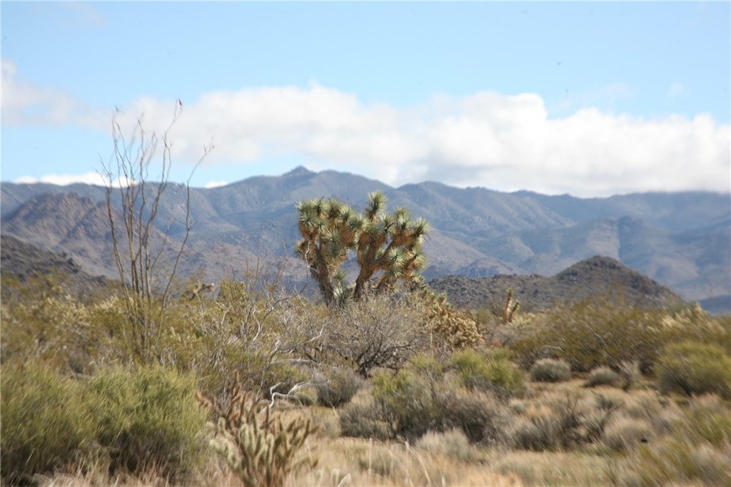 Picture 49
