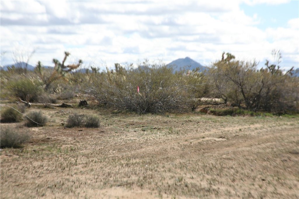 Picture 53