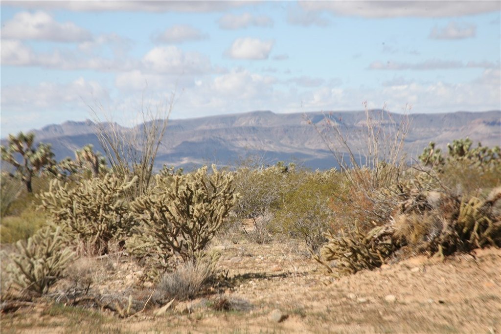 Picture 62