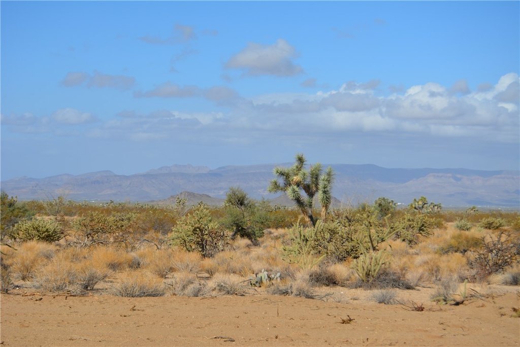 Picture 14