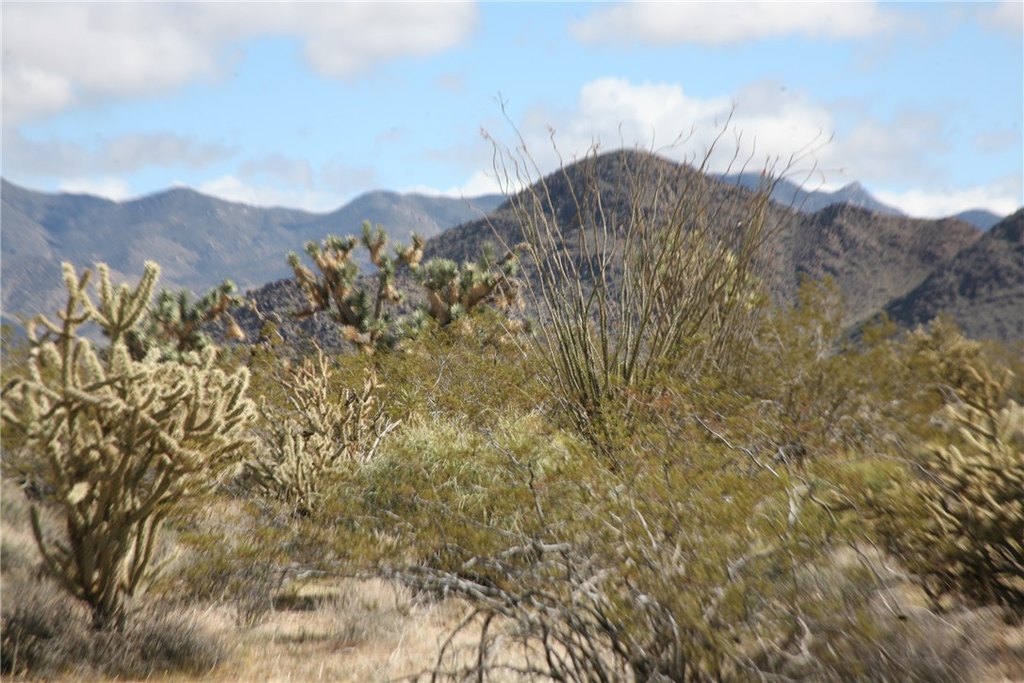 Picture 47