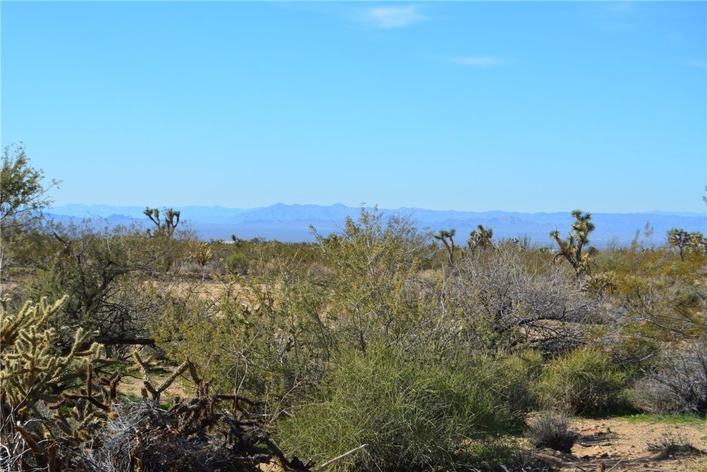 Picture 24