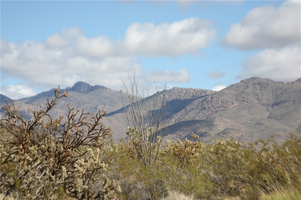 Picture 69
