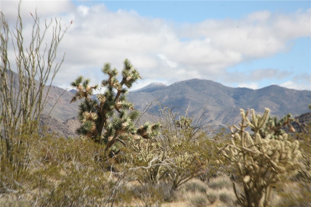 Picture 46