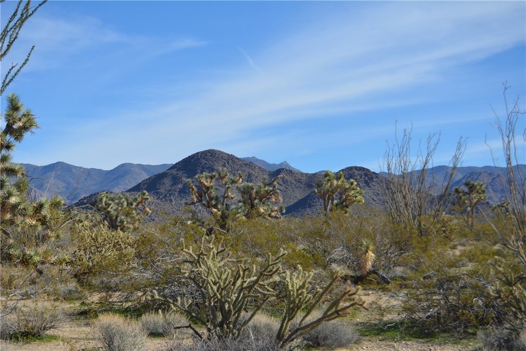 Picture 40