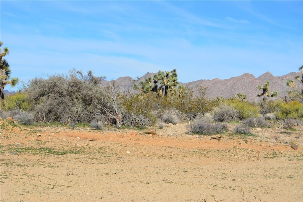 Picture 32