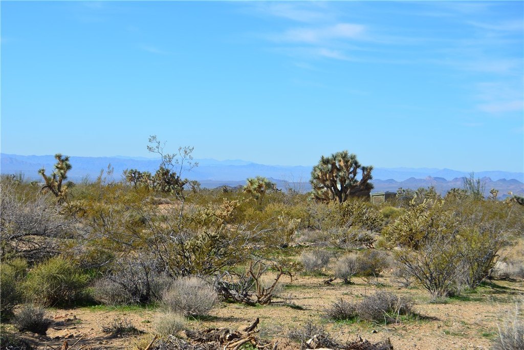 Picture 25