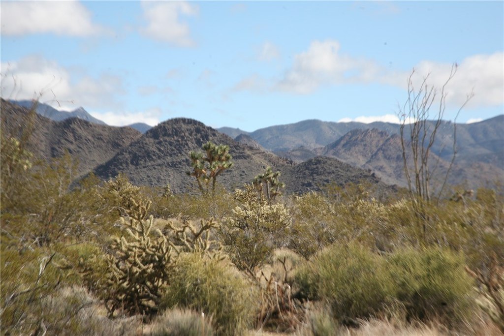 Picture 48