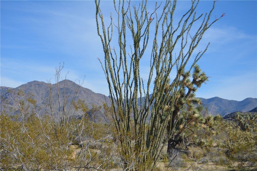 Picture 39