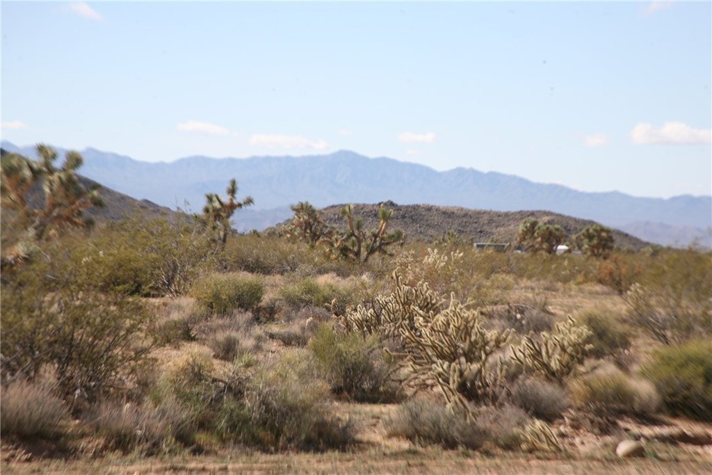 Picture 59