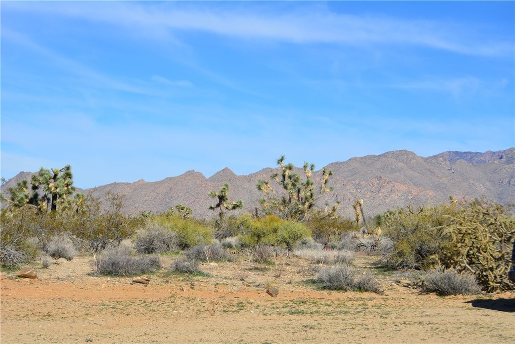 Picture 33