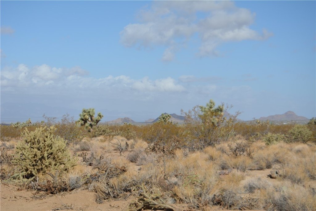 Picture 16