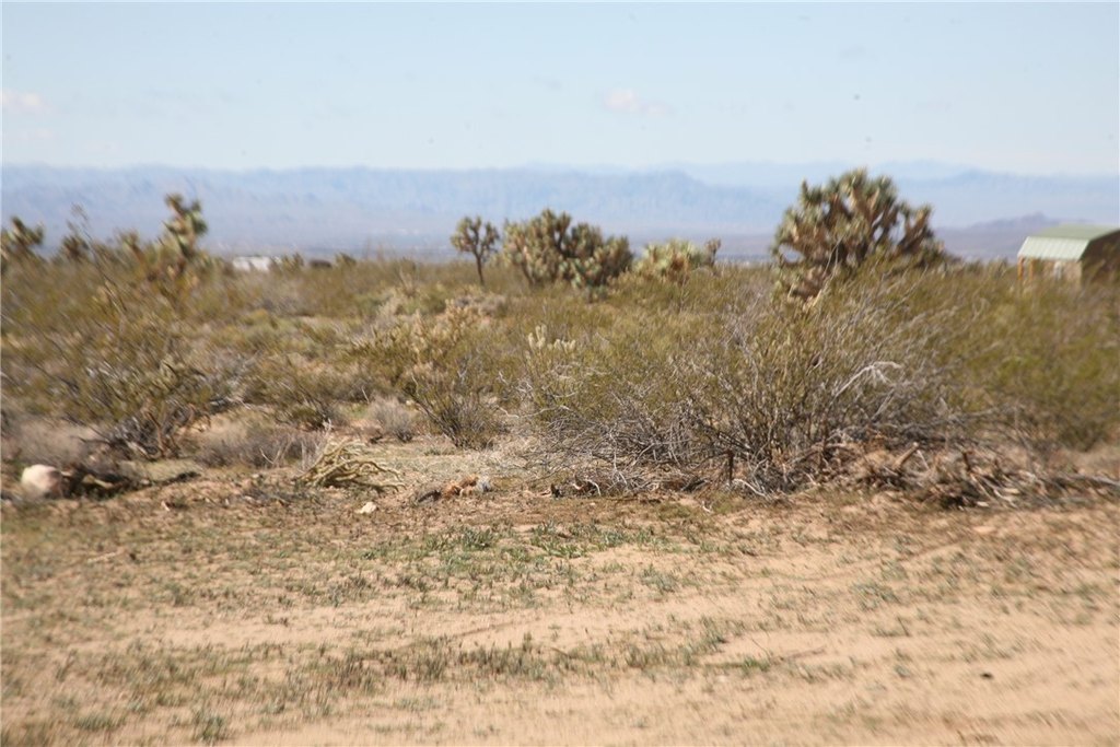 Picture 60
