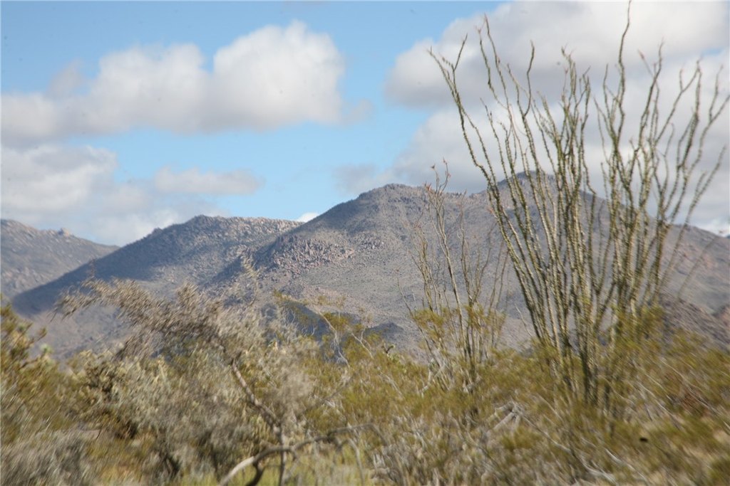 Picture 45