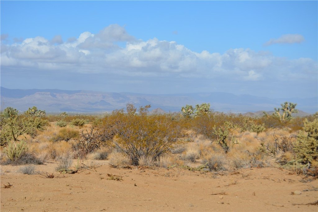 Picture 15