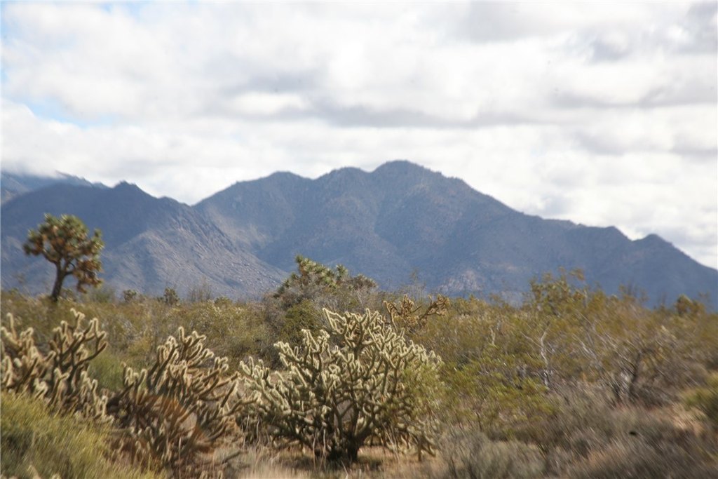 Picture 51