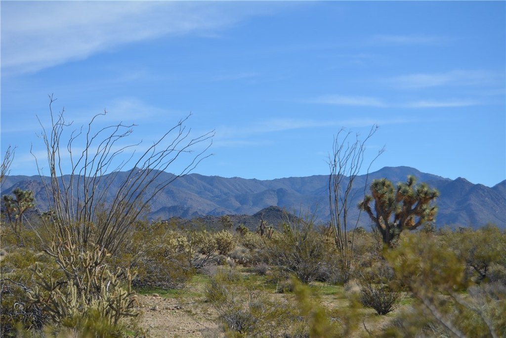 Picture 41