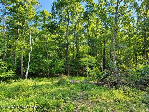 Land, East Stroudsburg, PA