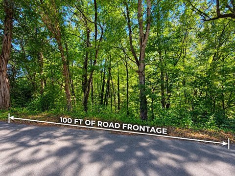 Land, Newport, TN
