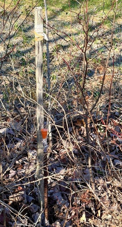 Picture 11