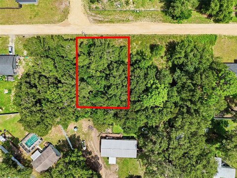 Land, BELLEVIEW, FL