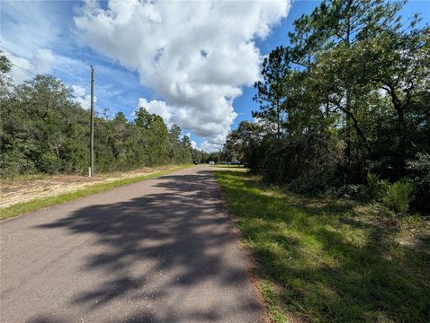 Land, CITRUS SPRINGS, FL